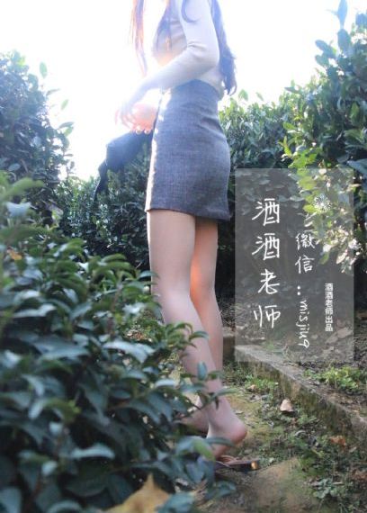 情满四合院多少集